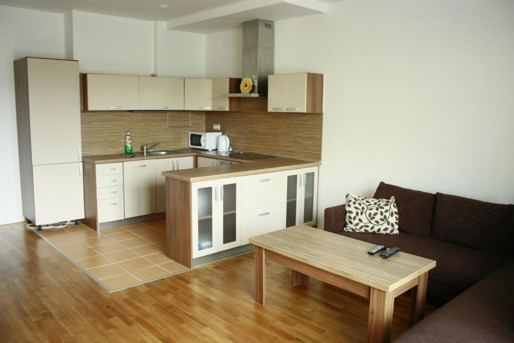 Rezidence Certovka Apartment Karlovy Vary Ruang foto